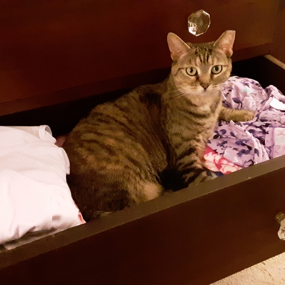 Meet your Posher, Sally - Picture 10 of 16